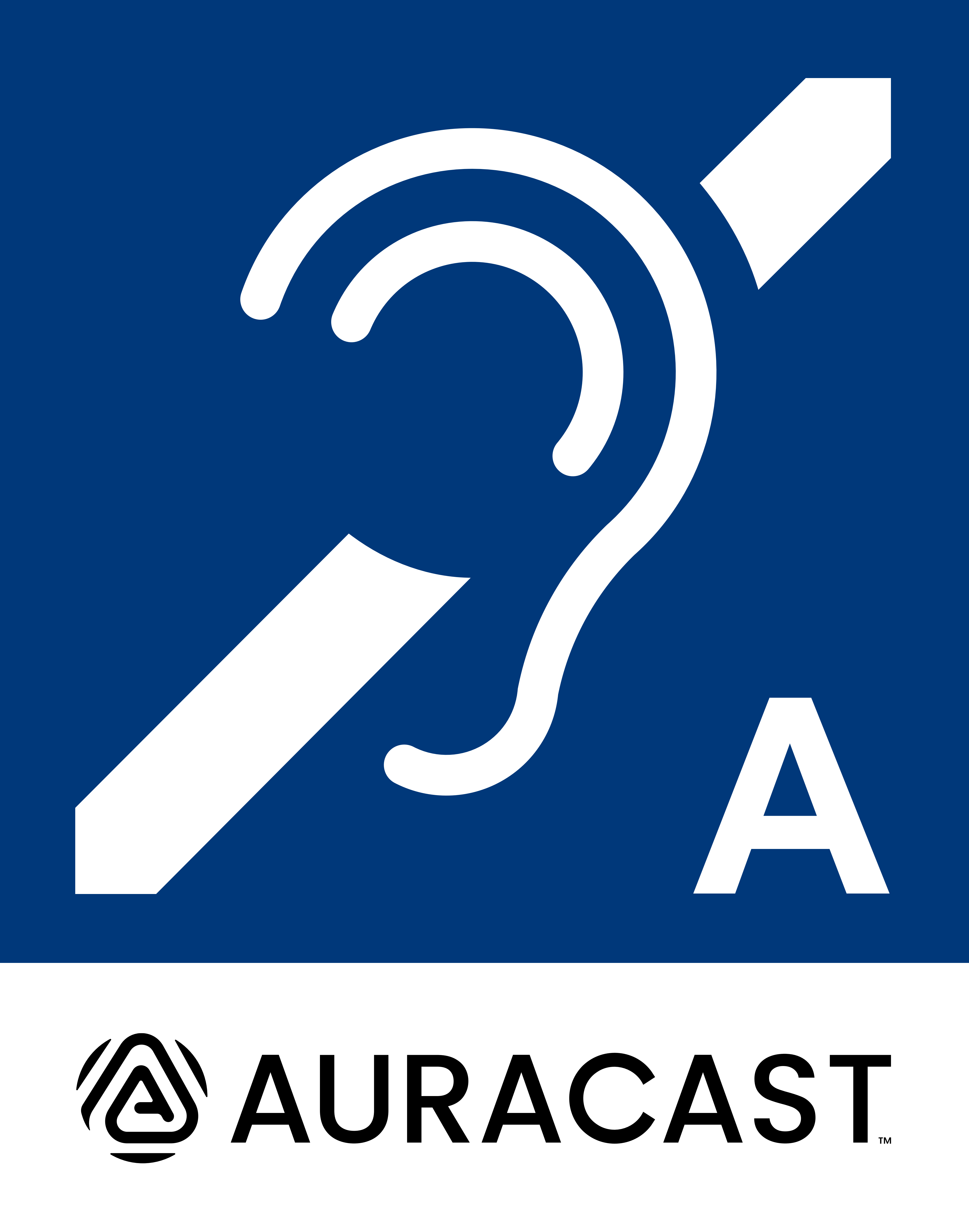 Piktogramm Auracast wb 2025
